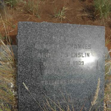 ENSLIN Hendrik Johannes Albertus 1909-1950