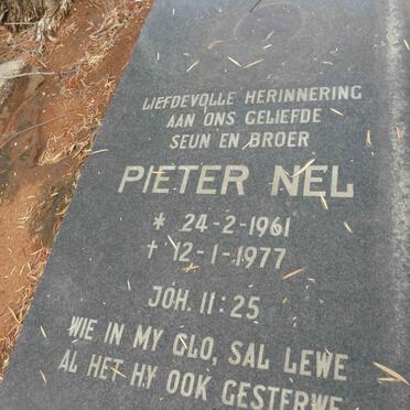 NEL Pieter 1961-1977