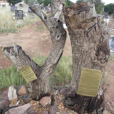 PLESSIS Jan Harm, du 1951-2005