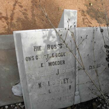 STEYN Cornelius Jacobus Andries 1879-19?0