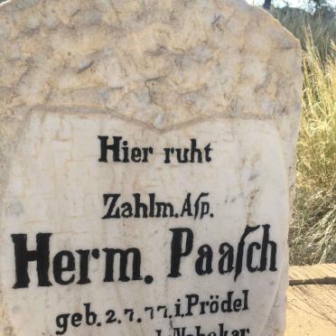 PAASCH Herm. 1877-1905