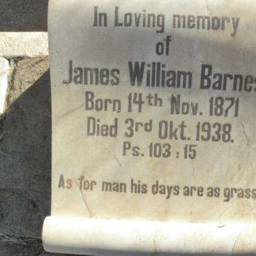 BARNES James William 1871-1938