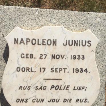 JUNIUS Napoleon 1933-1934