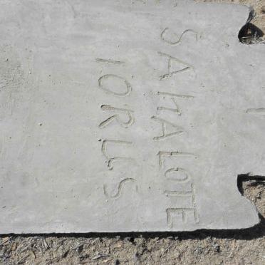 IORUS Sahalote