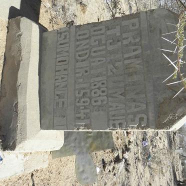 THIZUMAUE Praminas 1886-1941