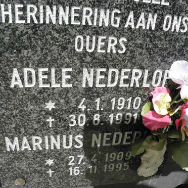 NEDERLOF Marinus 1909-1995 &amp; Adele 1910-1991