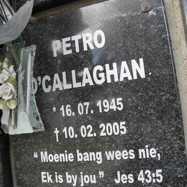 O'CALLAGHAN Petro 1945-2005