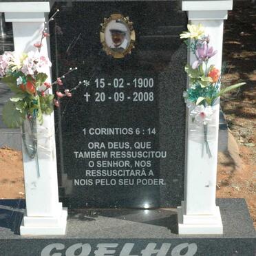 COELHO Avo Armando Joao 1900-2008