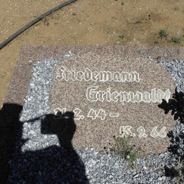 GRIENWALDT Friedemann 1944-1966