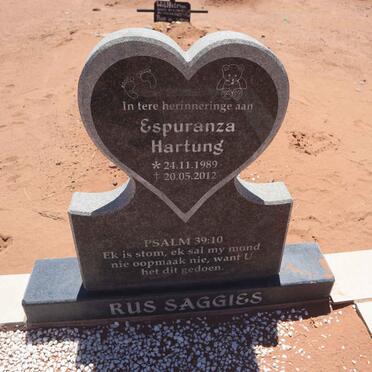 HARTUNG Espuranza 1989-2012