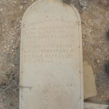 BYLEVELD Alida Maria 1917-1938