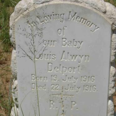 DELPORT Louis Alwyn 1916-1916