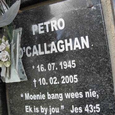 O'CALLAGHAN Petro 1945-2005