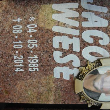 WIESE Jaco 1985-2014