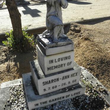 HEX Sharon-Ann 1960-1966