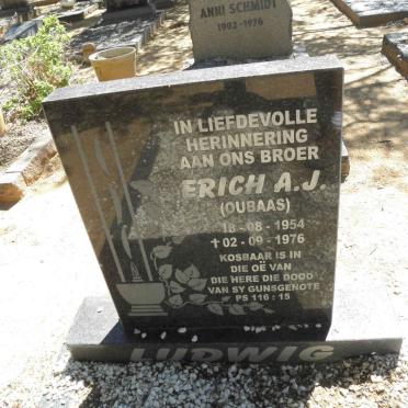 LUDWIG Erich A.J. 1954-1976