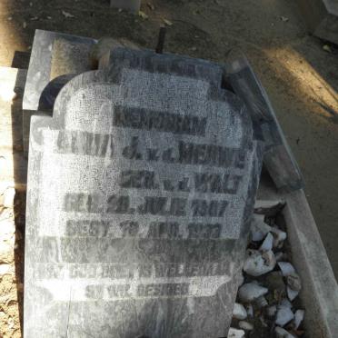 MERWE Alma J., v.d. nee v.d. WALT 1907-1933