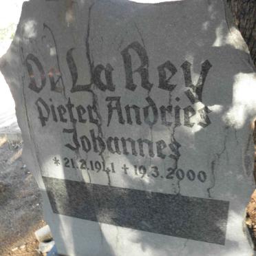 REY Pieter Andries Johannes, de la 1941-2000