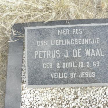 WAAL Petrus J., de 1969-1969