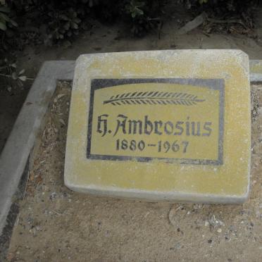 AMBROSIUS H. 1880-1967