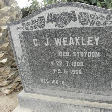 WEAKLEY C.J. nee STRYDOM 1909-1958