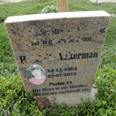 ACKERMAN Hendrik 1964-2012