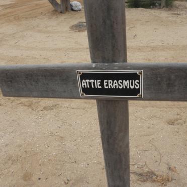 ERASMUS Attie