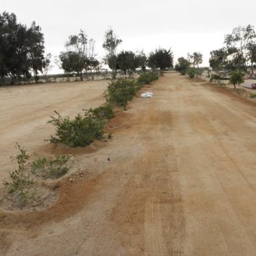 3. Overview
