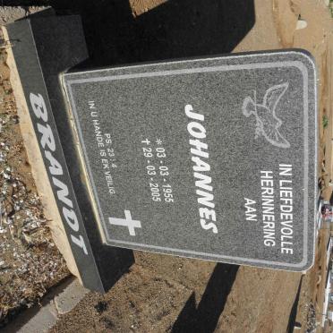 BRANDT Johannes 1955-2005