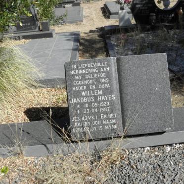 HAYES Willem Jakobus 1923-1987