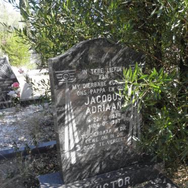 VICTOR Jacobus Adriaan 1934-1987