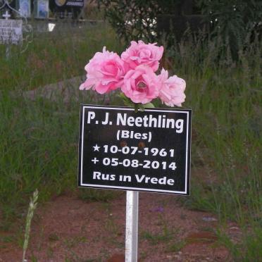 N - Vanne :: Surnames - N