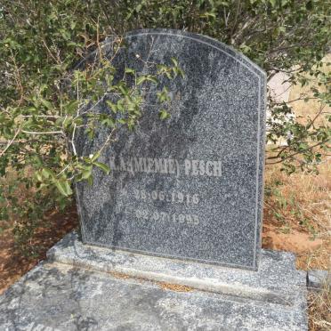 PESCH W.K.A. 1916-1995