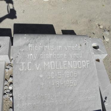 MOLLENDORF J.C., v. 1906-1950