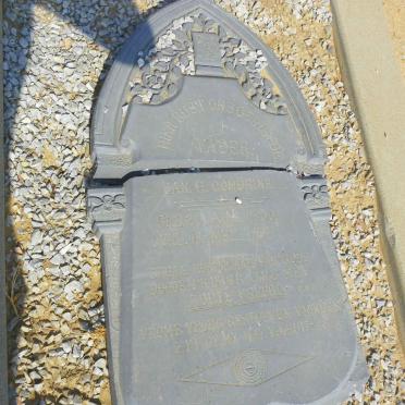 COMBRINK Jan H. 1850-1934