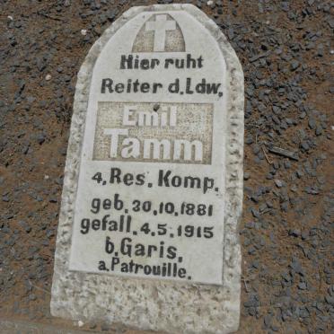 TAMM Emil 1881-1915