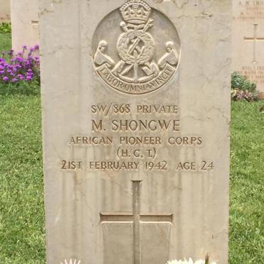 SHONGWE M. -1942