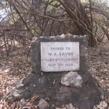 SAYER W.A. -1929