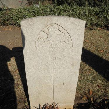 STEELE H.M. -1916