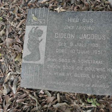 FAULCONER Gideon Jacobus 1951-1951