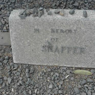 SNAPPER
