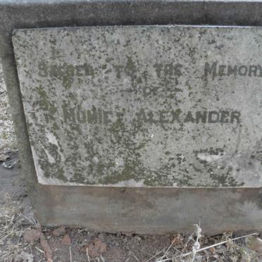 ALEXANDER Mumie