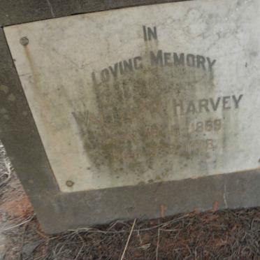 HARVEY Walter R. 1889-1938
