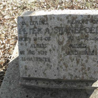 SWANEPOEL Peter A. 1908-1980