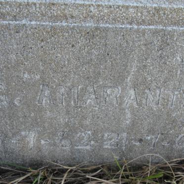 AMARANTE G. 1962-1962