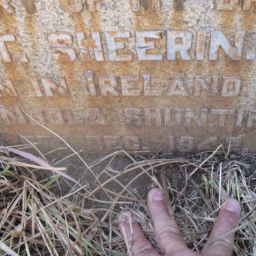 SHEERIN T. 1915-1942