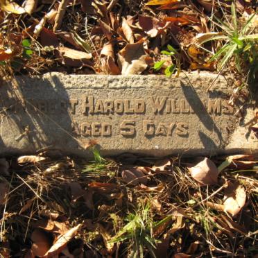 WILLIAMS Robert Harold 