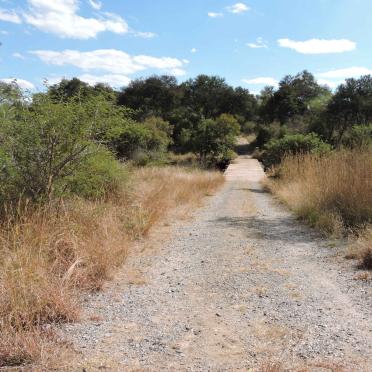 1. Road leading to Shangani River bridge