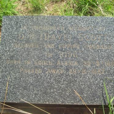 SCOTT D.P. Dave 1908-1967