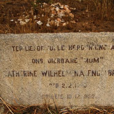 ENGELBRECHT Catherine Wilhelmina nee FAASEN 1893-1952